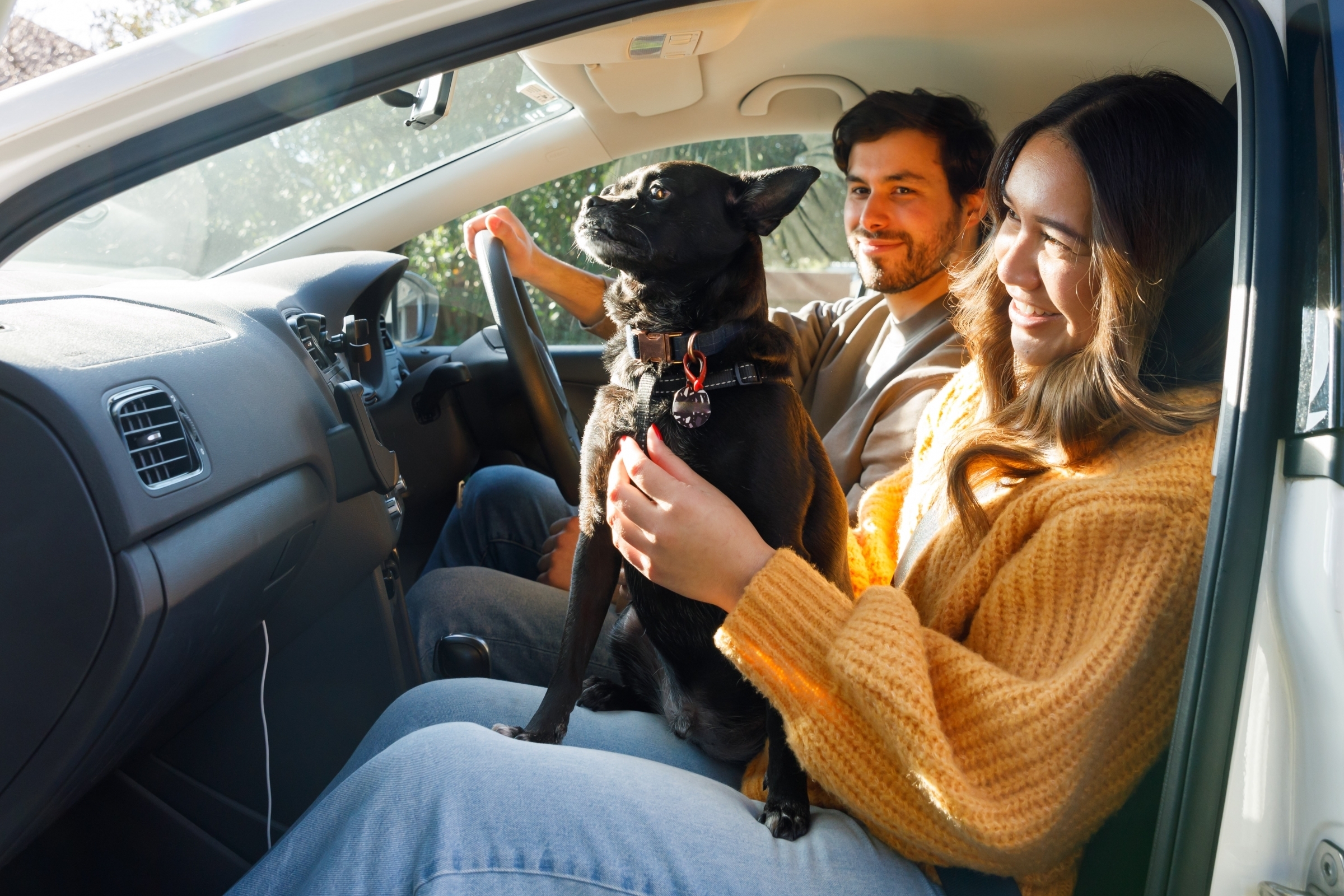 Couple sitting in a car with their dog